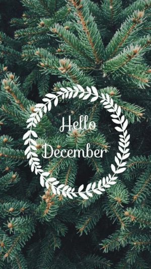 December Background