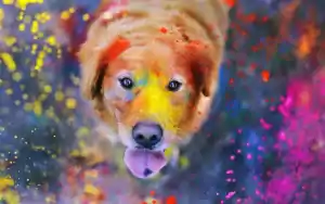 Desktop Dog Wallpaper