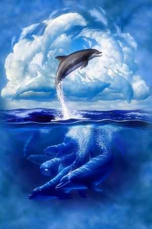 Dolphin Background 