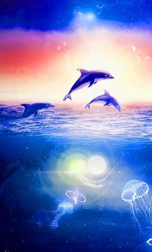 Dolphin Wallpaper 