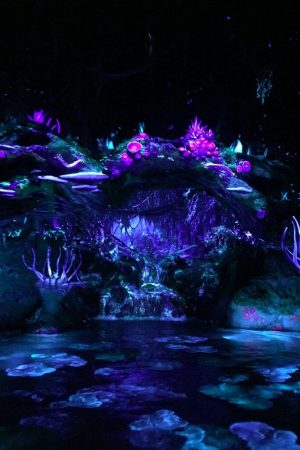 Avatar Background 