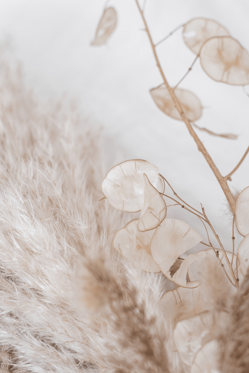 Beige Background | WhatsPaper