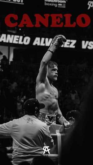 HD Canelo Álvarez Wallpaper 