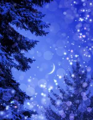 Christmas Day Wallpaper