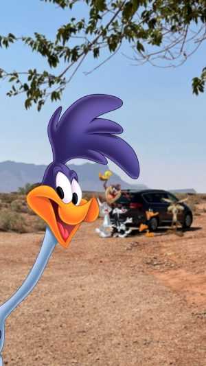 Road Runner Wallpaper 