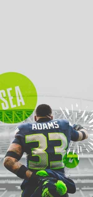 Seattle Seahawks Background