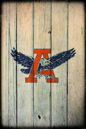 War Eagle Wallpaper 