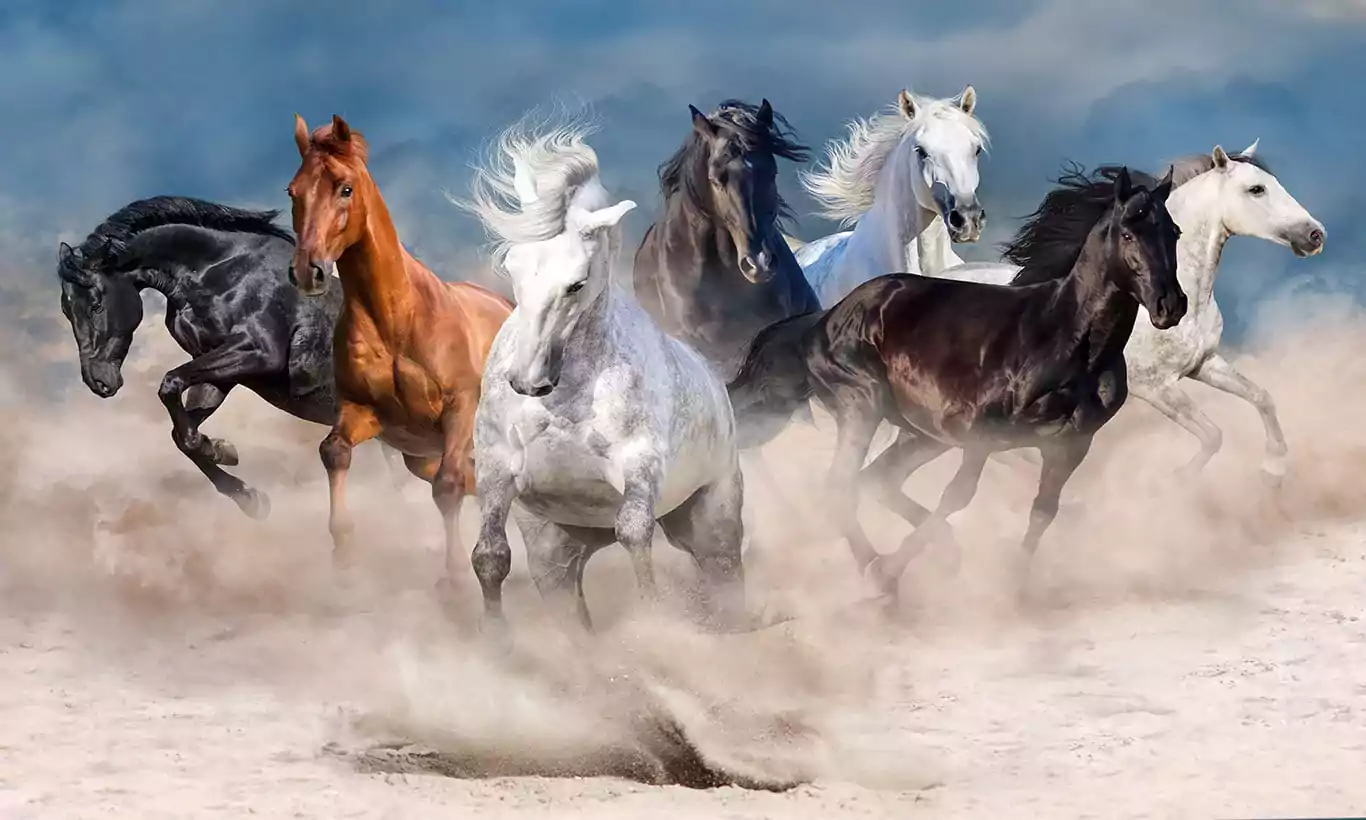 7 Horse Painting - Vastu Importance, Benefits and Placement