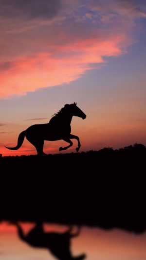 Horse Wallpaper