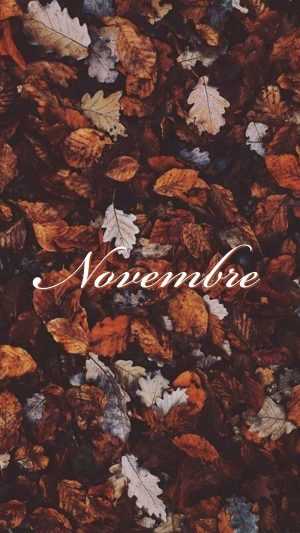 HD November Wallpaper 