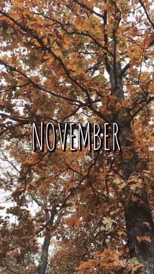 November Wallpaper 