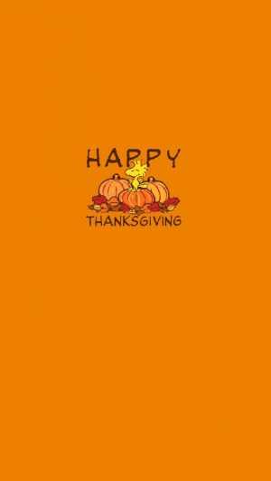 Thanksgiving Wallpaper 