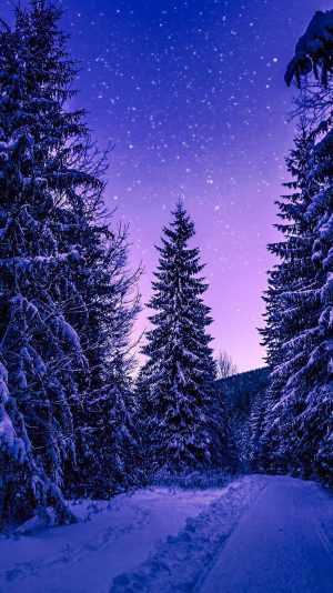 Winter Background 