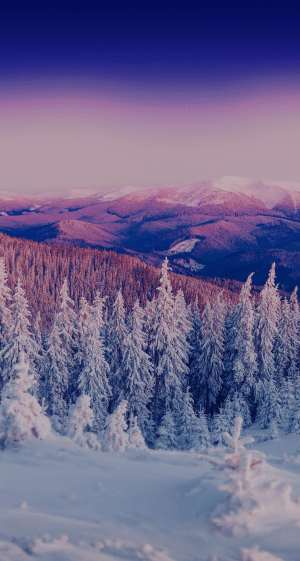 Winter Wallpaper