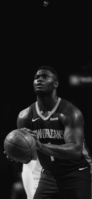 Zion Williamson Background 