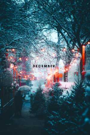 December Background 