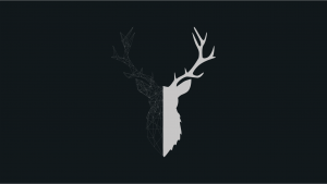 Deer Wallpaper