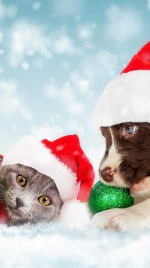 Christmas Cat Wallpaper 