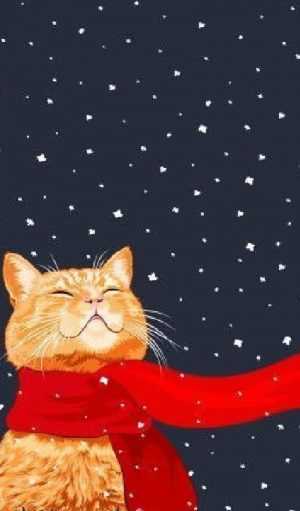 Christmas Cat Wallpaper