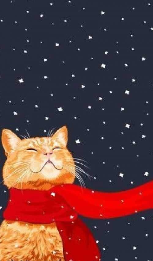 Christmas Cat Wallpaper WhatsPaper
