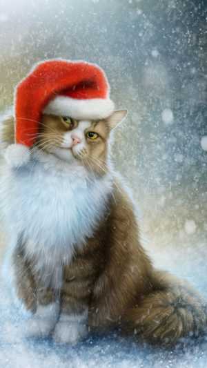 Christmas Cat Background 