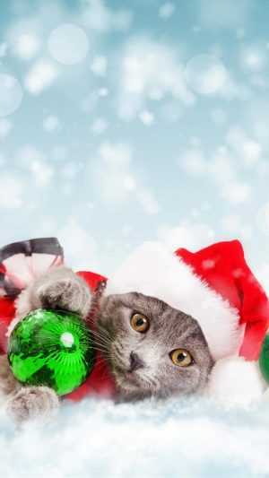 4K Christmas Cat Wallpaper