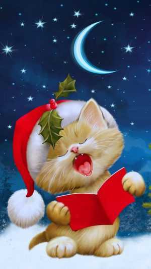 Christmas Cat Wallpaper