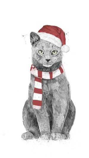 Christmas Cat Wallpaper 