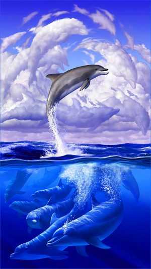 Dolphin Background