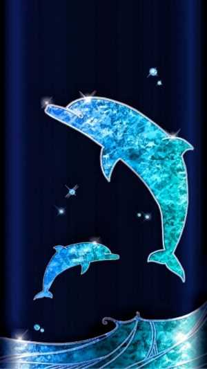 Dolphin Background 