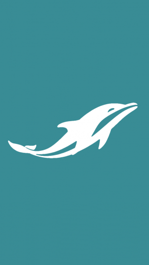 HD Dolphin Wallpaper 