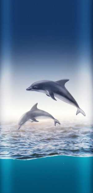 Dolphin Wallpaper 