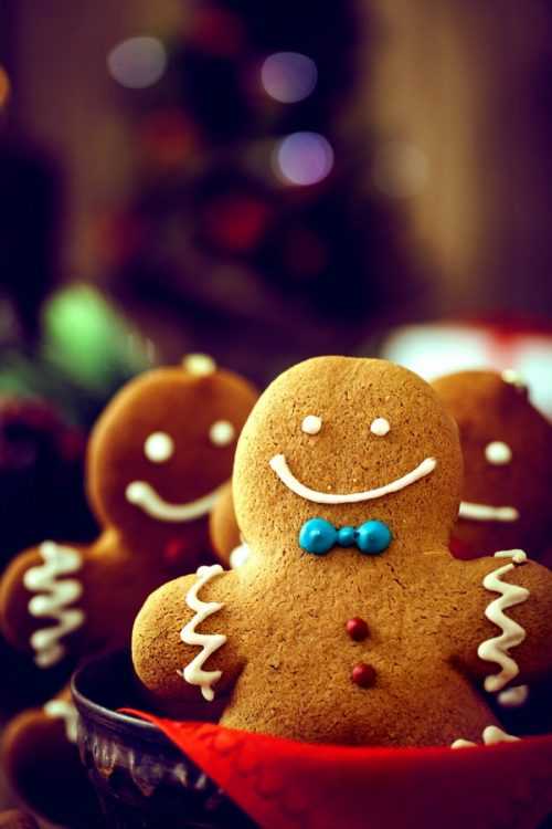 Gingerbread Man Wallpaper | WhatsPaper