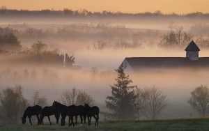 Desktop Kentucky Wallpaper 