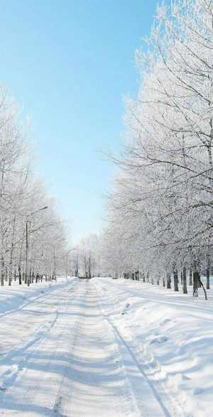 Winter Wallpaper 
