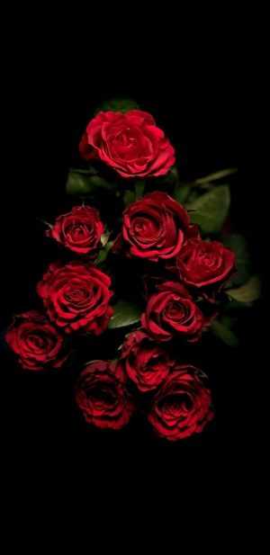 HD Roses Wallpaper