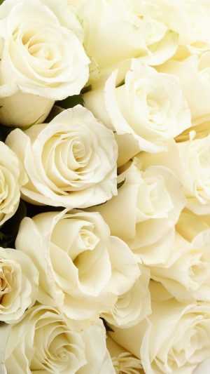HD Roses Wallpaper