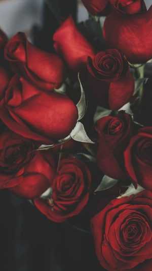 Roses Wallpaper