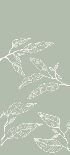 Sage Green Wallpaper 