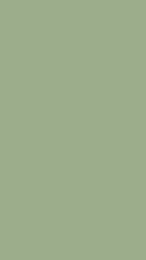 Sage Green Wallpaper