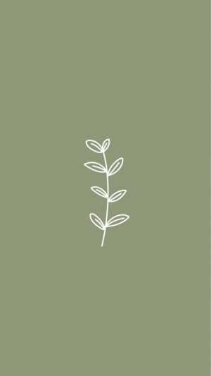 Sage Green Wallpaper