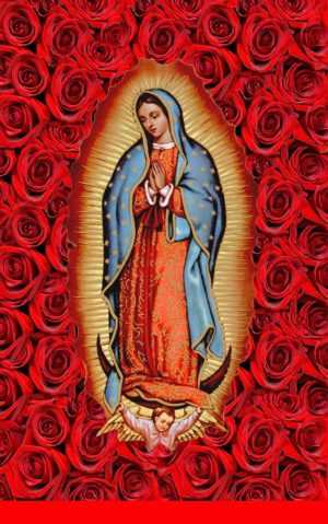 4K Virgen De Guadalupe Wallpaper 