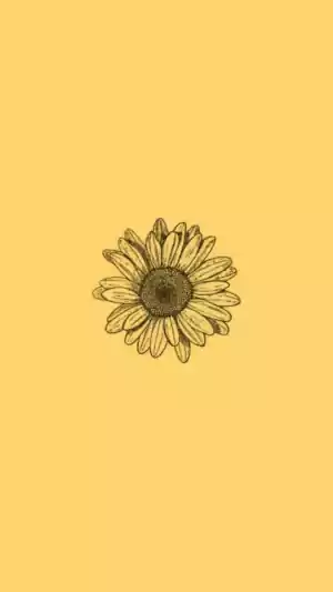 Yellow Aesthetic Background 