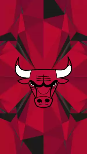 4K Bulls Wallpaper 