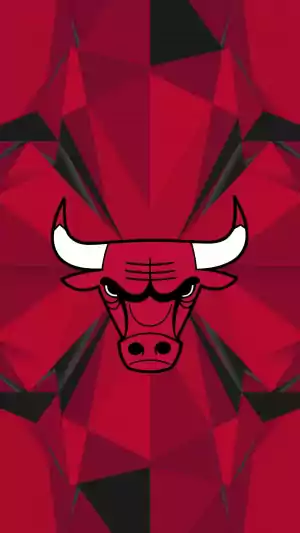 4K Bulls Wallpaper