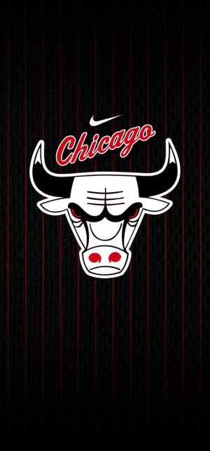 Bulls Wallpaper 