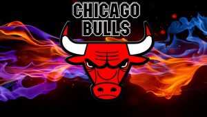 Desktop Bulls Wallpaper 