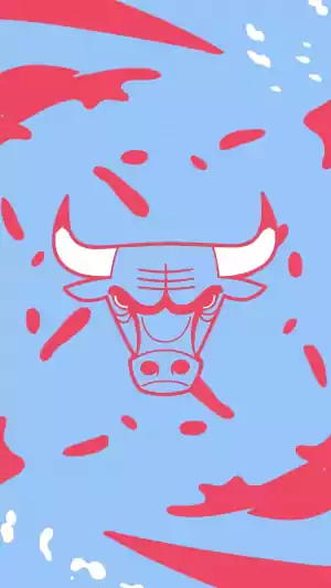 4K Bulls Wallpaper 