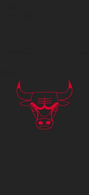 Bulls Wallpaper