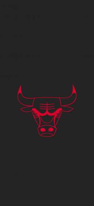 Bulls Wallpaper